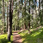 דירה Storck באד בלייברג