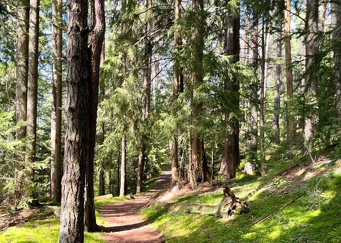 公寓 Storck 巴特布莱贝格